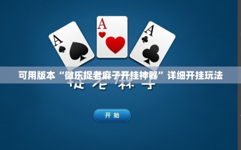 可用版本“微乐捉老麻子开挂神器”详细开挂玩法