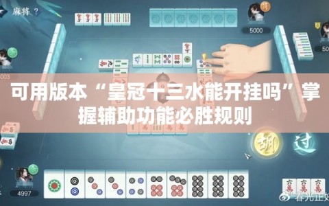 可用版本“皇冠十三水能开挂吗”掌握辅助功能必胜规则
