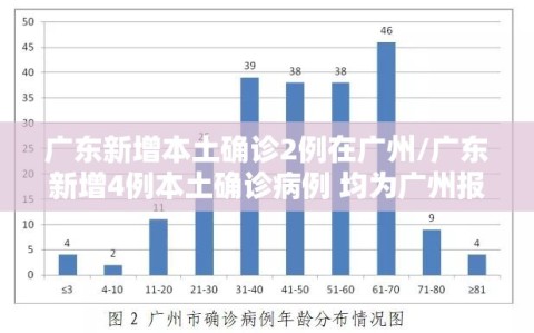 广东新增本土确诊2例在广州/广东新增4例本土确诊病例 均为广州报告