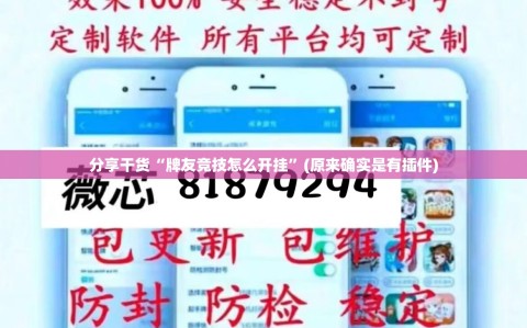 分享干货“牌友竞技怎么开挂”(原来确实是有插件)