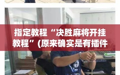 指定教程“决胜麻将开挂教程”(原来确实是有插件)
