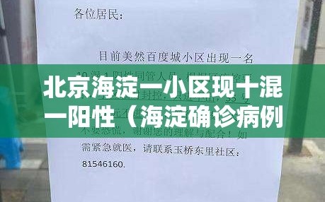 北京海淀一小区现十混一阳性（海淀确诊病例小区）