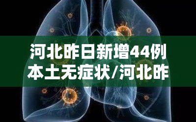 河北昨日新增44例本土无症状/河北昨日新增82例确诊49例无症状