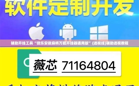 辅助开挂工具“微乐安徽麻将万能开挂器通用版”(透视挂)辅助透视教程