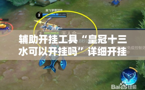 辅助开挂工具“皇冠十三水可以开挂吗”详细开挂玩法