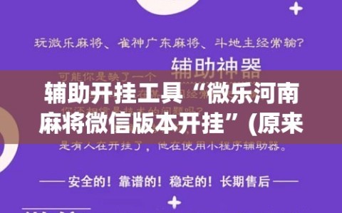 辅助开挂工具“微乐河南麻将微信版本开挂”(原来确实是有插件)