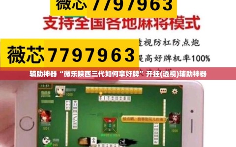 辅助神器“微乐陕西三代如何拿好牌”开挂(透视)辅助神器