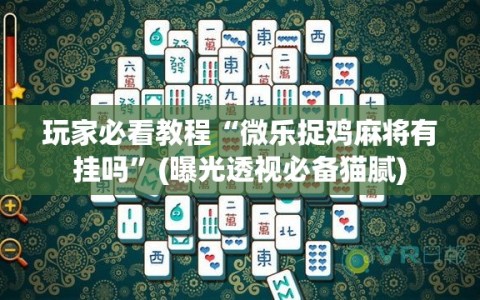 玩家必看教程“微乐捉鸡麻将有挂吗”(曝光透视必备猫腻)