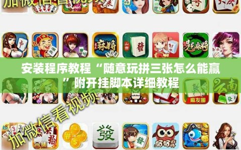 安装程序教程“随意玩拼三张怎么能赢”附开挂脚本详细教程