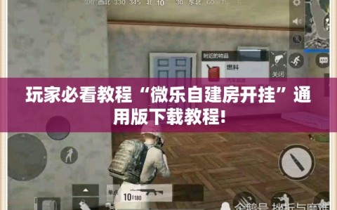 玩家必看教程“微乐自建房开挂”通用版下载教程!
