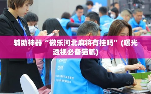 辅助神器“微乐河北麻将有挂吗”(曝光透视必备猫腻)