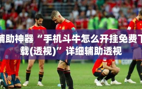 辅助神器“手机斗牛怎么开挂免费下载(透视)”详细辅助透视