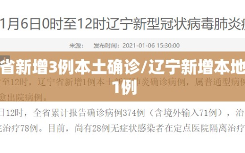 辽宁省新增3例本土确诊/辽宁新增本地确诊1例