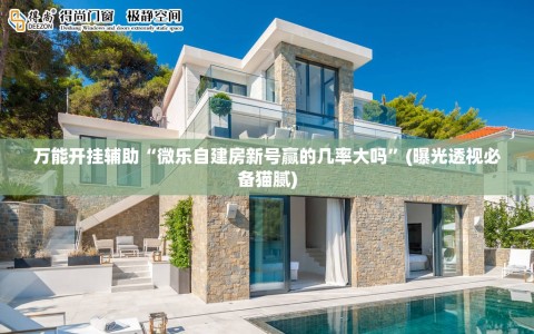 万能开挂辅助“微乐自建房新号赢的几率大吗”(曝光透视必备猫腻)
