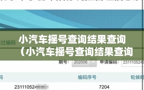 小汽车摇号查询结果查询（小汽车摇号查询结果查询系统）