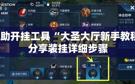 辅助开挂工具“大圣大厅新手教程”分享装挂详细步骤