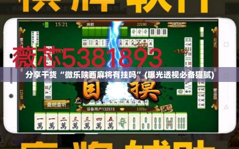 分享干货“微乐陕西麻将有挂吗”(曝光透视必备猫腻)