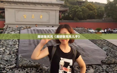 廊坊张元元（廊坊张元元儿子）