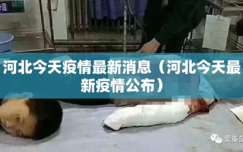 河北今天疫情最新消息（河北今天最新疫情公布）