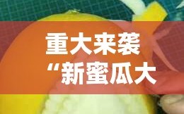 重大来袭“新蜜瓜大厅怎样才能赢”分享装挂详细步骤