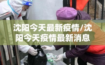 沈阳今天最新疫情/沈阳今天疫情最新消息确诊人数
