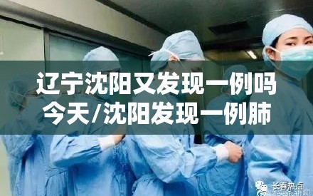 辽宁沈阳又发现一例吗今天/沈阳发现一例肺炎吗