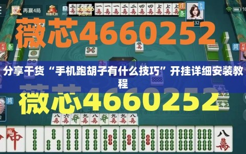 分享干货“手机跑胡子有什么技巧”开挂详细安装教程