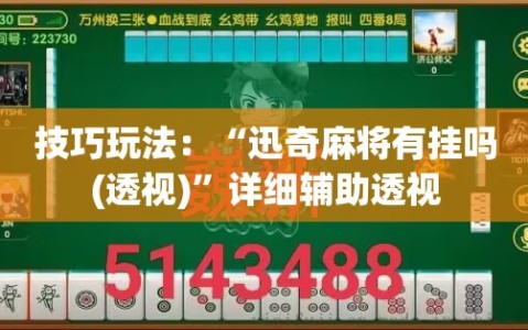 技巧玩法：“迅奇麻将有挂吗(透视)”详细辅助透视