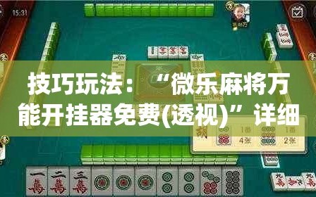 技巧玩法：“微乐麻将万能开挂器免费(透视)”详细辅助透视