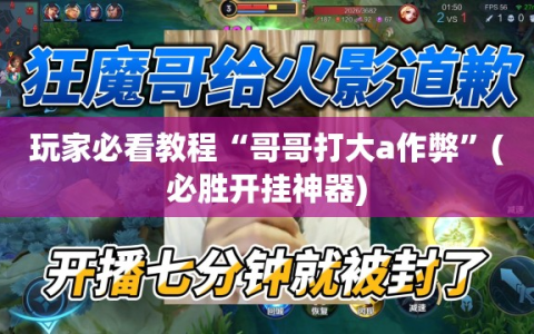 玩家必看教程“哥哥打大a作弊”(必胜开挂神器)