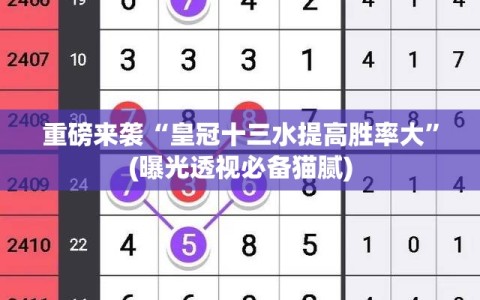 重磅来袭“皇冠十三水提高胜率大”(曝光透视必备猫腻)