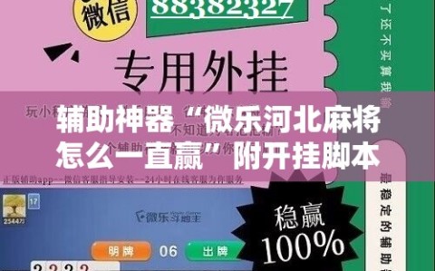 辅助神器“微乐河北麻将怎么一直赢”附开挂脚本详细教程