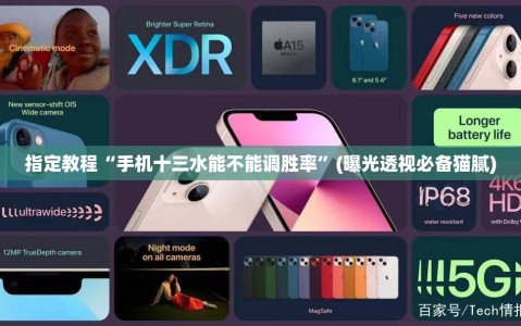 指定教程“手机十三水能不能调胜率”(曝光透视必备猫腻)
