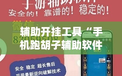 辅助开挂工具“手机跑胡子辅助软件开挂(透视)”详细辅助透视