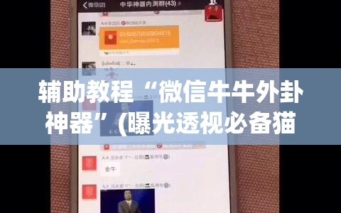 辅助教程“微信牛牛外卦神器”(曝光透视必备猫腻)