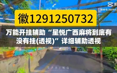 万能开挂辅助“星悦广西麻将到底有没有挂(透视)”详细辅助透视