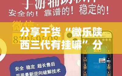 分享干货“微乐陕西三代有挂嘛”分享装挂详细步骤