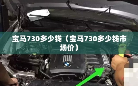 宝马730多少钱（宝马730多少钱市场价）