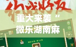 重大来袭“微乐湖南麻将可以开挂吗”(曝光透视必备猫腻)