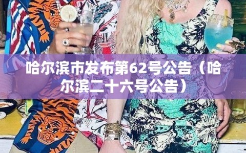 哈尔滨市发布第62号公告（哈尔滨二十六号公告）