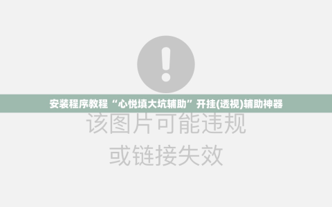 安装程序教程“心悦填大坑辅助”开挂(透视)辅助神器