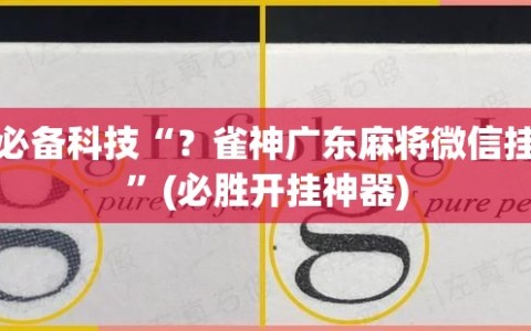 必备科技“？雀神广东麻将微信挂”(必胜开挂神器)