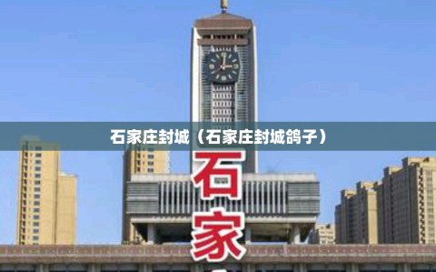 石家庄封城（石家庄封城鸽子）