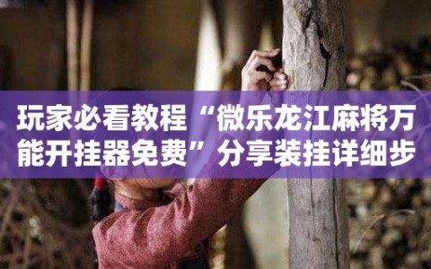 玩家必看教程“微乐龙江麻将万能开挂器免费”分享装挂详细步骤