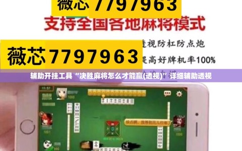 辅助开挂工具“决胜麻将怎么才能赢(透视)”详细辅助透视