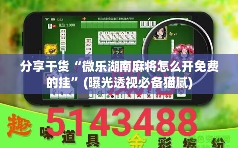 分享干货“微乐湖南麻将怎么开免费的挂”(曝光透视必备猫腻)