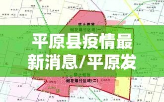 平原县疫情最新消息/平原发布重要通告