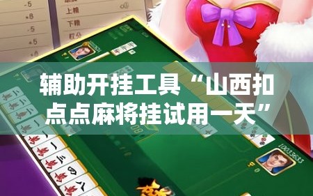 辅助开挂工具“山西扣点点麻将挂试用一天”开挂详细安装教程