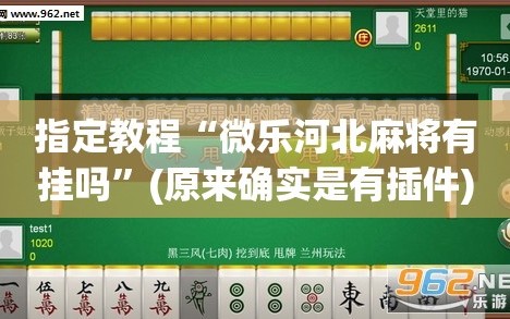 指定教程“微乐河北麻将有挂吗”(原来确实是有插件)