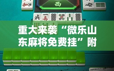 重大来袭“微乐山东麻将免费挂”附开挂脚本详细教程